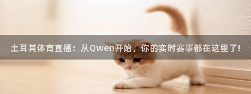 土耳其体育直播：从Qwen开始，你的实时赛事都在这里了!