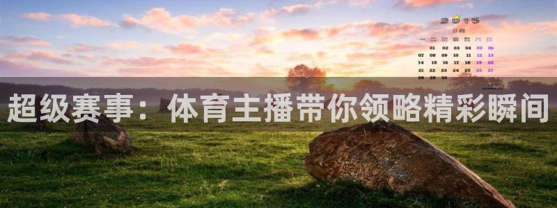 超级赛事：体育主播带你领略精彩瞬间