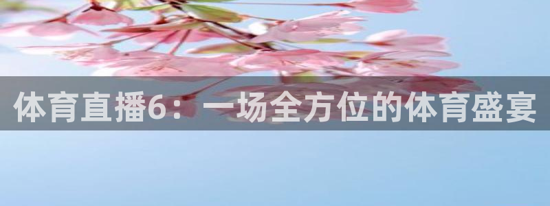 体育直播6：一场全方位的体育盛宴