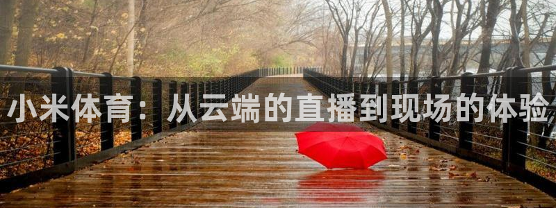 小米体育：从云端的直播到现场的体验