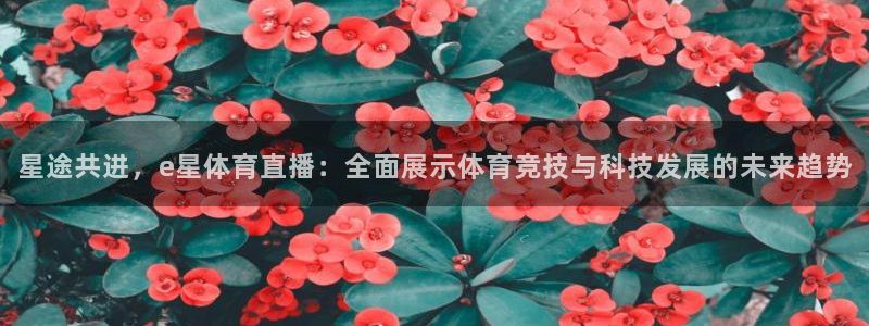 星途共进，e星体育直播：全面展示体育竞技与科技发展的未来趋势