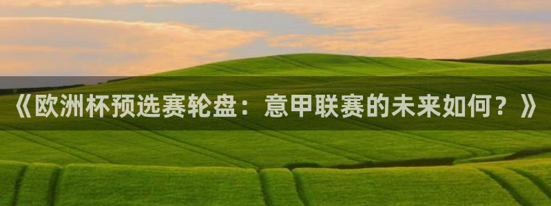 《欧洲杯预选赛轮盘：意甲联赛的未来如何？》