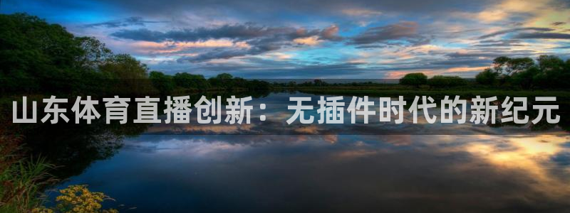 山东体育直播创新：无插件时代的新纪元