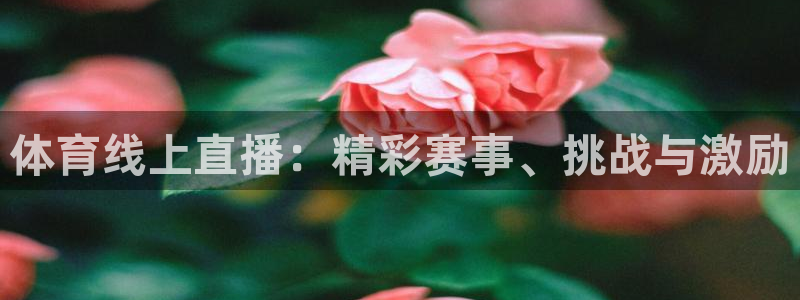 体育线上直播：精彩赛事、挑战与激励