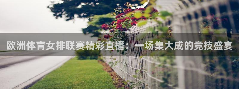 欧洲体育女排联赛精彩直播：一场集大成的竞技盛宴