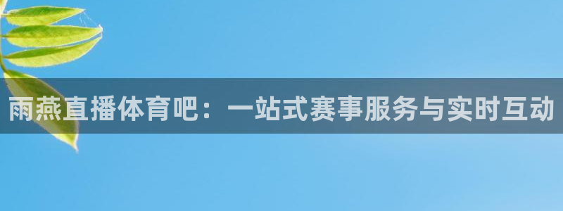 雨燕直播体育吧：一站式赛事服务与实时互动