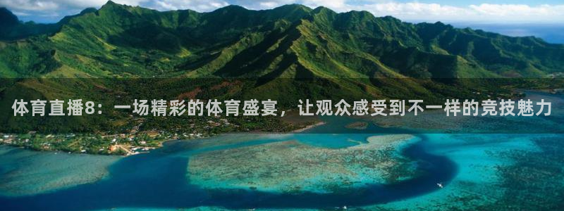 体育直播8：一场精彩的体育盛宴，让观众感受到不一样的竞技魅力