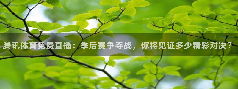 腾讯体育免费直播：季后赛争夺战，你将见证多少精彩对决？