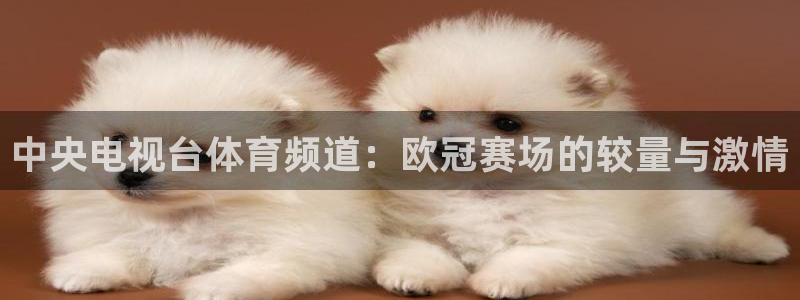 中央电视台体育频道：欧冠赛场的较量与激情