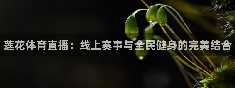 莲花体育直播：线上赛事与全民健身的完美结合