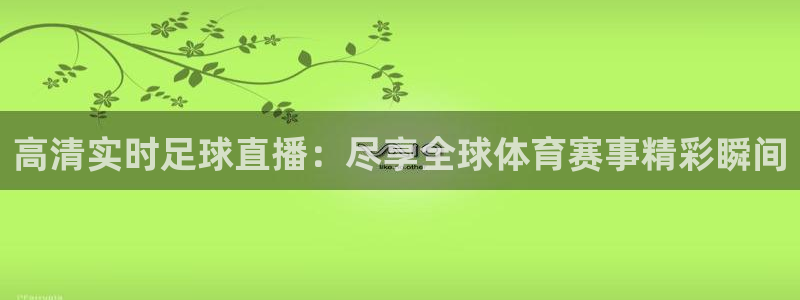 高清实时足球直播：尽享全球体育赛事精彩瞬间