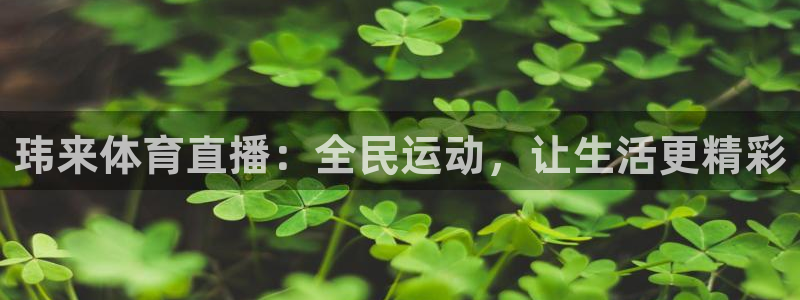 玮来体育直播：全民运动，让生活更精彩