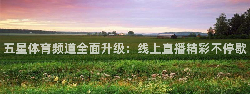 五星体育频道全面升级：线上直播精彩不停歇